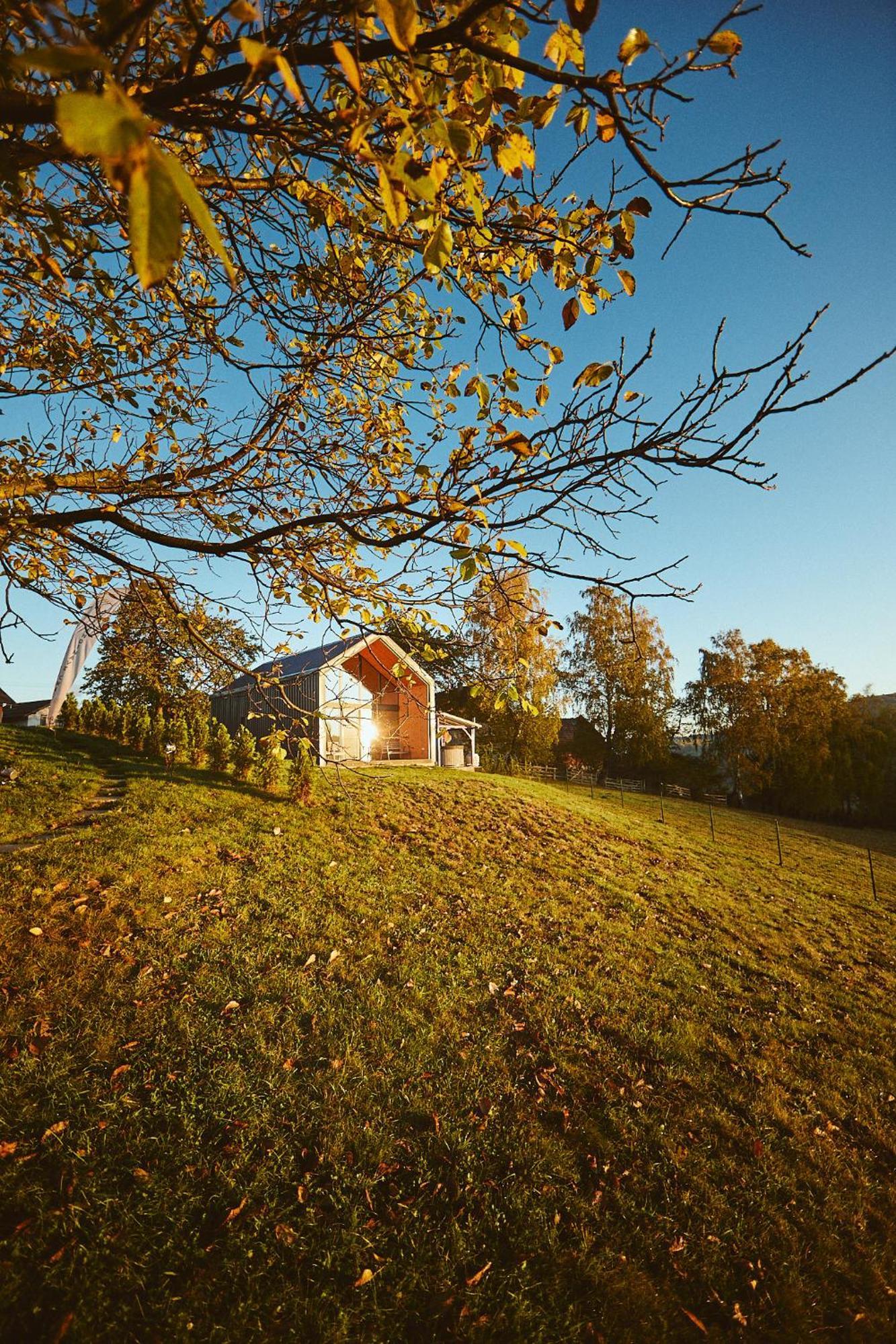 Scandinave Chalet Bran Zarnesti Exterior photo