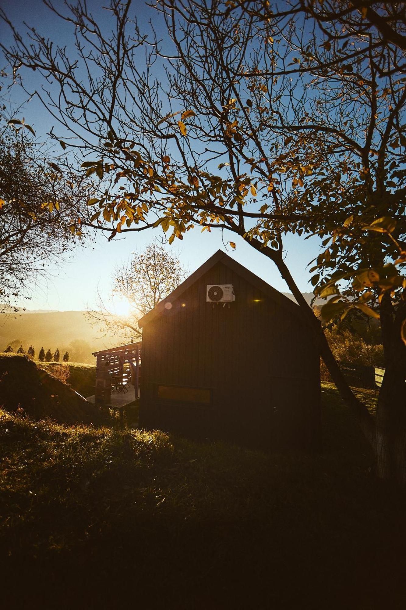 Scandinave Chalet Bran Zarnesti Exterior photo